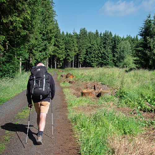Chemin faisant | photos de Guy Maillard