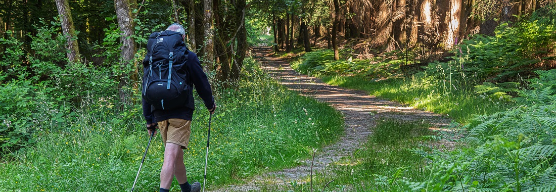 Chemin faisant | photos de Guy Maillard